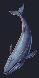 blue-whale_p2-0061_view-05_transparent_v01.png