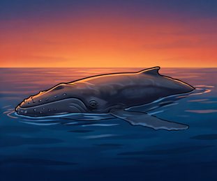 humpback-whale_p2-0064_behavior-03_scene_v01.png