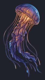 jellyfish_p2-0065_view-01_transparent_v01.png
