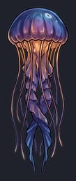 jellyfish_p2-0065_view-02_transparent_v01.png