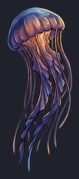 jellyfish_p2-0065_view-03_transparent_v01.png