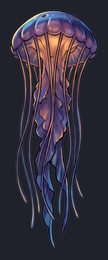 jellyfish_p2-0065_view-04_transparent_v01.png