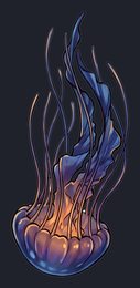 jellyfish_p2-0065_view-05_transparent_v01.png