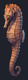 seahorse_p2-0067_view-05_transparent_v01.png