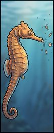 seahorse_p2-0068_behavior-02_scene_v01.png