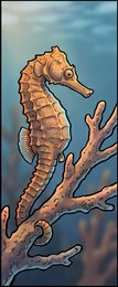 seahorse_p2-0068_behavior-03_scene_v01.png