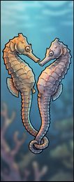 seahorse_p2-0068_behavior-04_scene_v01.png