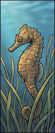 seahorse_p2-0068_behavior-05_scene_v01.png