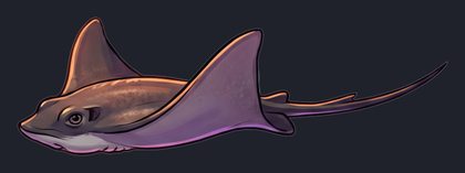 stingray_p2-0069_view-01_transparent_v01.png