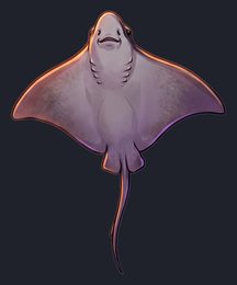 stingray_p2-0069_view-04_transparent_v01.png