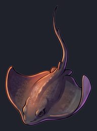 stingray_p2-0069_view-05_transparent_v01.png