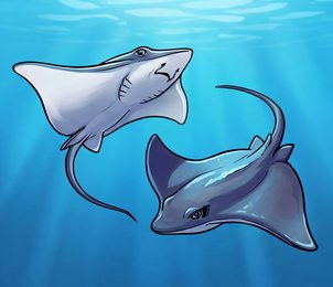 stingray_p2-0070_behavior-04_scene_v01.png