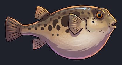pufferfish_p2-0071_view-01_transparent_v01.png