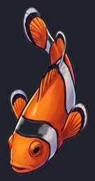 clownfish_p2-0073_view-05_transparent_v01.png