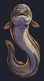eel_p2-0075_view-02_transparent_v01.png