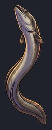 eel_p2-0075_view-04_transparent_v01.png