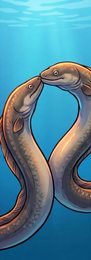 eel_p2-0076_behavior-04_scene_v01.png