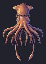 squid_p2-0077_view-02_transparent_v01.png