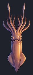squid_p2-0077_view-05_transparent_v01.png