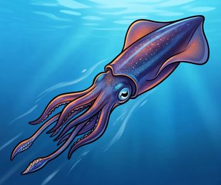 squid_p2-0078_behavior-01_scene_v01.png