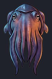 cuttlefish_p2-0079_view-02_transparent_v01.png