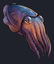 cuttlefish_p2-0079_view-03_transparent_v01.png