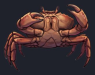 crab_p2-0083_view-02_transparent_v01.png