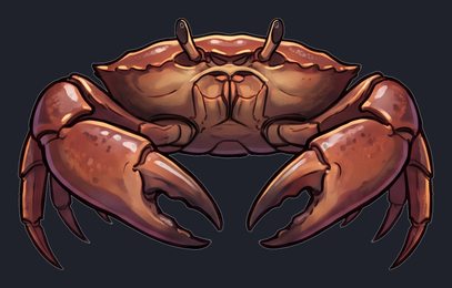 crab_p2-0083_view-03_transparent_v01.png