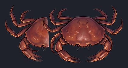 crab_p2-0083_view-04_transparent_v01.png