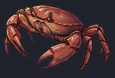 crab_p2-0083_view-05_transparent_v01.png
