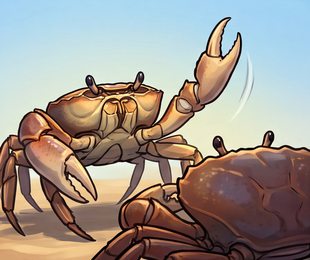 crab_p2-0084_behavior-04_scene_v01.png