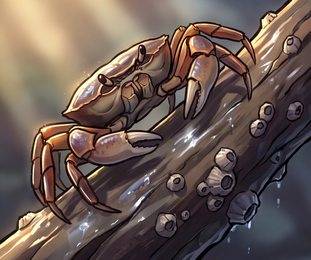 crab_p2-0084_behavior-05_scene_v01.png