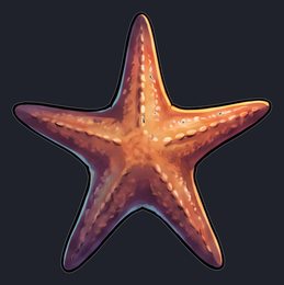 starfish_p2-0085_view-02_transparent_v01.png