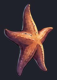 starfish_p2-0085_view-03_transparent_v01.png