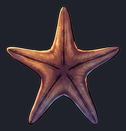 starfish_p2-0085_view-05_transparent_v01.png