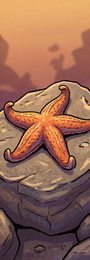starfish_p2-0086_behavior-03_scene_v01.png