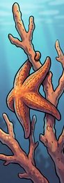 starfish_p2-0086_behavior-05_scene_v01.png