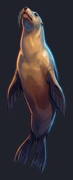sea-lion_p2-0087_view-04_transparent_v01.png
