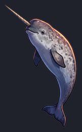 narwhal_p2-0091_view-03_transparent_v01.png