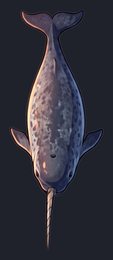narwhal_p2-0091_view-05_transparent_v01.png