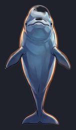 beluga-whale_p2-0093_view-02_transparent_v01.png