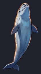 beluga-whale_p2-0093_view-04_transparent_v01.png
