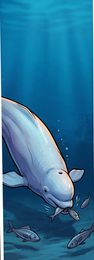 beluga-whale_p2-0094_behavior-02_scene_v01.png
