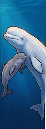 beluga-whale_p2-0094_behavior-04_scene_v01.png