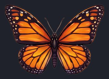 butterfly_p2-0095_view-02_transparent_v01.png