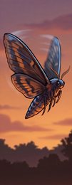 moth_p2-0098_behavior-01_scene_v01.png