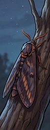 moth_p2-0098_behavior-03_scene_v01.png