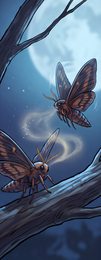 moth_p2-0098_behavior-04_scene_v01.png