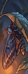 moth_p2-0098_behavior-05_scene_v01.png