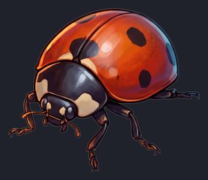 ladybug_p2-0099_view-05_transparent_v01.png